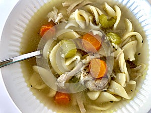 Chicken noodle soup