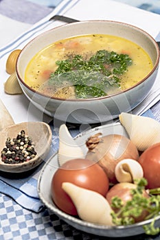 Chicken noodle soup with carrots and parsley