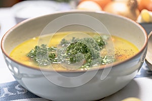 Chicken noodle soup with carrots and parsley