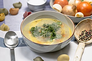 Chicken noodle soup with carrots and parsley