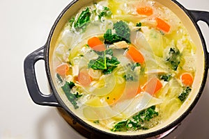 Chicken Noodle Soup in Dutch Oven