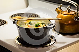 Chicken Noodle Soup in Dutch Oven