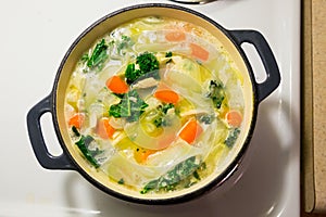 Chicken Noodle Soup in Dutch Oven