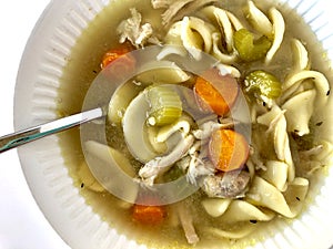 Chicken noodle soup