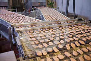 Chicken Nuggets On Conveyor Belt.