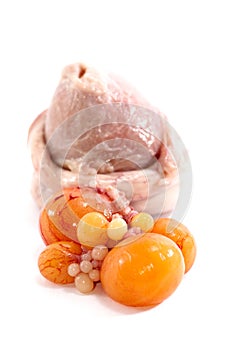 Chicken Ovary 02
