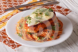 Chicken Parmigiana and pasta with tomatoes close-up