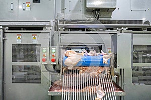 Chicken parts load out from automate cutting machine