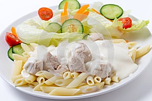 Chicken and pasta with white sauce side view