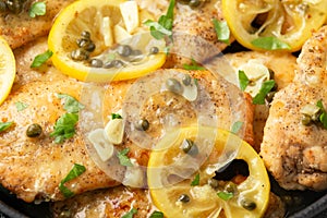 Chicken Piccata with capers, white wine sauce and spaghetti. Italian food