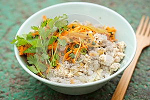 Chicken & pork larb with carrot, scallions and coriander