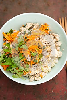 Chicken & pork larb with carrot, scallions and coriander