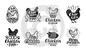 Chicken, poultry farm label set. Food, meat, egg icons or logos. Lettering vector illustration