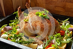 Chicken prepared for roasting with vegetables