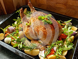Chicken prepared for roasting with vegetables