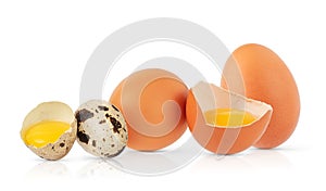 Chicken and quail eggs isolated on white background with clipping path.