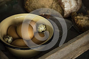 The chicken and quail eggs in metal bowl with bread