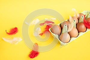 Chicken red eggs lie in a recycling tray, colorful feathers, Easter egg set, copy space