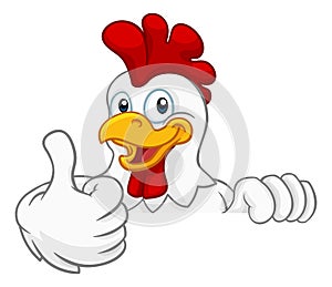 Chicken Rooster Cockerel Bird Cartoon Character photo