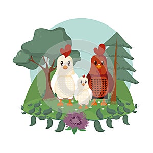 Chicken and rooster cute animals cartoons