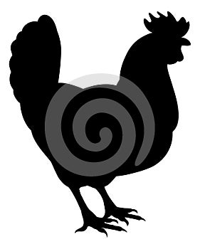 Chicken Rooster Farm Animal Silhouette photo