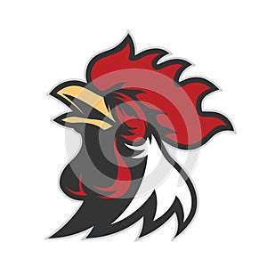 Chicken rooster head mascot photo