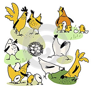 Chicken, rooster and little hens on the grass. Set of elements for easter design. Cute chicken family design. Flat style, cartoon