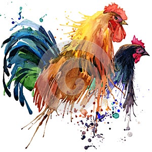 Un gallo grafica un gallo famiglia illustrazioni pozzanghera acquerello strutturato 