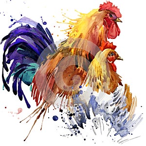 Chicken and rooster T-shirt graphics, chicken and rooster family illustration with splash watercolor textured background.