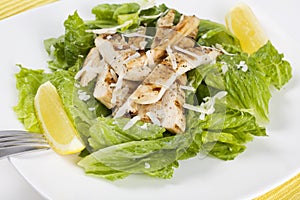 Chicken salad