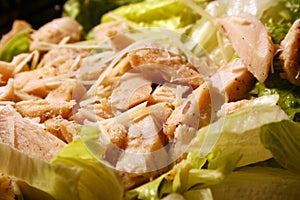 Chicken salad