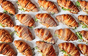 Chicken salad croissant sandwich