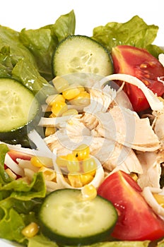 Chicken salads photo