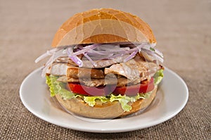 Chicken sandwich photo