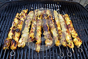 Chicken satay on barbecue