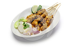 Chicken satay, indonesian cuisine