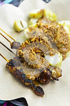 Chicken satay and lontong (rice cake), traditional Indonesian dish specialties.