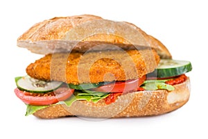 Chicken Schnitzel on a bun (isolated on white) photo