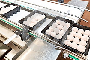 Chicken semifinished product line. photo