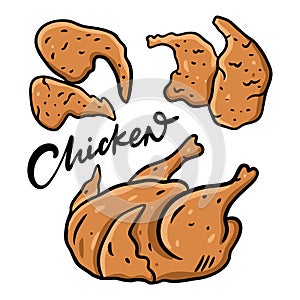 Chicken set. Colorful vector illustration in cartoon style. Isolated on white background.