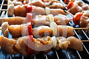 Chicken shish kebab with tomato and mushroom barbecue