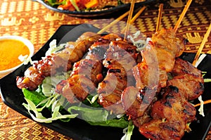 Chicken Skewer