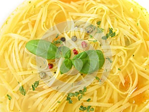 Chicken soup with noodles and seasonings