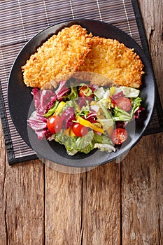 Chicken steak in breading Panko and fresh salad close-up on the photo