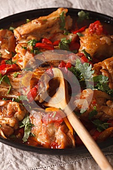 Chicken stew with vegetables and spices - chakhokhbili close-up. photo