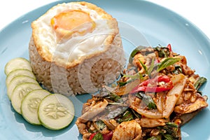 Chicken stir fried with chili paste and some vegetable, served with fried egg, rice and cucumber on the plate
