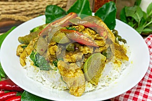 Chicken Stir-Fried with Green Curry on rice