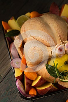 A chicken stuffed with an apple, ready for baking, lies on a baking sheet