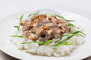 Chicken teriyaki with rice close-up