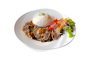 Chicken teriyaki with rice on white dish ,isolate background,Clipping path photo